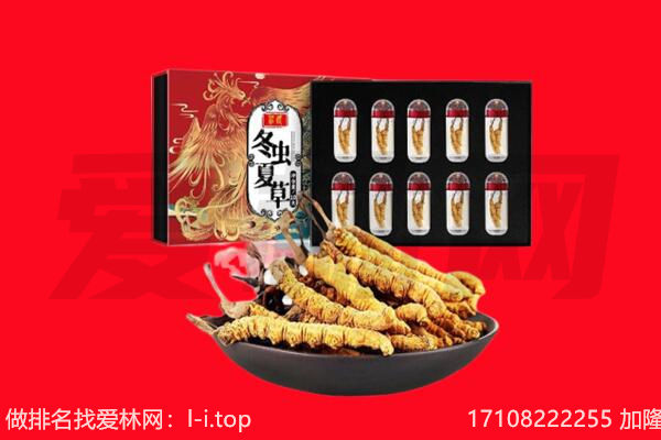 抚顺新宾县回收虫草.jpg